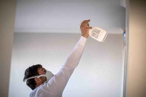 Best Attic Mold Removal  in Faith, NC