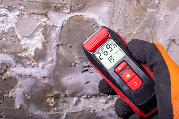 Best Office Mold Removal Services  in Faith, NC