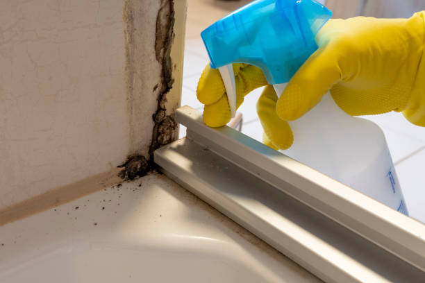 Best Crawl Space Mold Removal  in Faith, NC
