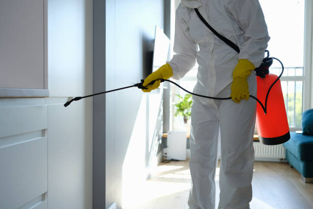 Professional Mold Removal in Faith, NC