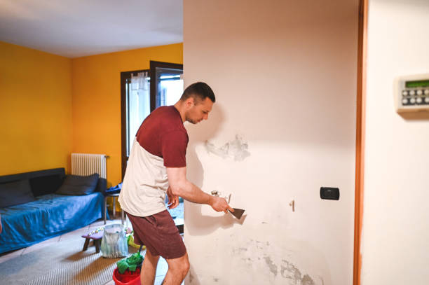 Best Same-Day Mold Removal  in Faith, NC